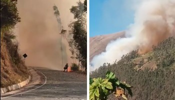 Incendio forestal arrasta con bosques de eucaliptos y cobertura vegetal en San Pedro de Cachora