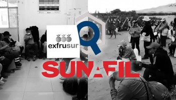 Ica: Sunafil multa con S/127 mil a Frutícola del Sur por intoxicación de trabajadores en fundo