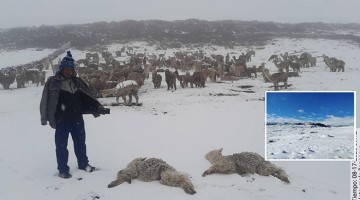 Intensas nevadas y lluvias persistentes se registran por fenómeno de la DANA Anibal en Apurímac