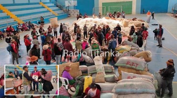 Se desarrolló exitoso primer acopio y venta de fibra de cría de alpaca en Totora Oropesa 