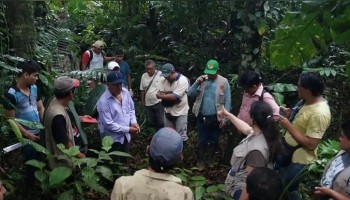 Madre de Dios: más de 1 millón de hectáreas de bosque evitaron ser deforestadas gracias a certificación