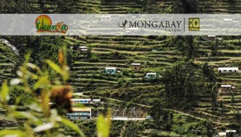 Andenes de Cuyocuyo: tecnología ancestral para conservar la biodiversidad en el altiplano peruano