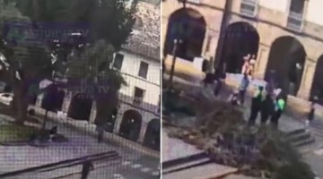 Cusco: turista se salva de milagro tras caerle un árbol encima mientras descansaba en la Plazoleta Regocijo 