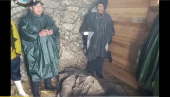 Cusco: arriero de 64 años muere mientras trabajaba en la ruta hacia el nevado Salkantay