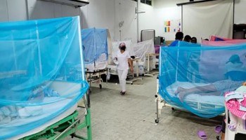 Ayacucho: reportan incremento de dengue en el Vraem y advierten mayor riesgo por lluvias intensas