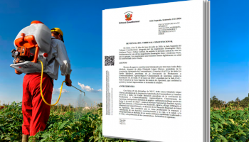 Tribunal Constitucional prohíbe temporalmente el uso y venta de cinco plaguicidas altamente tóxicos en el Perú