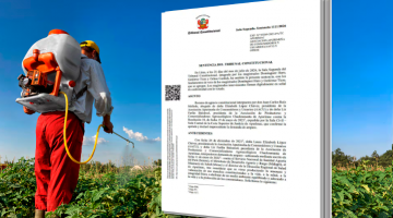 Tribunal Constitucional prohíbe temporalmente el uso y venta de cinco plaguicidas altamente tóxicos en el Perú