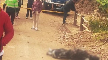 Hallan cuerpo calcinado de hombre en vía que conduce a localidad de Ocobamba