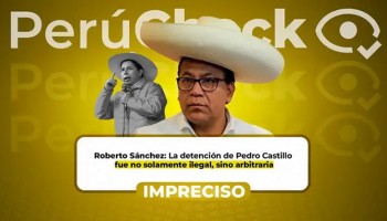 ¿La ONU declaró “arbitraria e ilegal” la detención de Pedro Castillo y exigió su liberación inmediata?