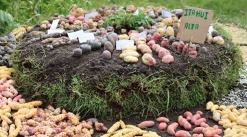 Ministerio de Agricultura reconoce a Chacoche en Apurímac como la onceava Zona de  Agrobiodiversidad