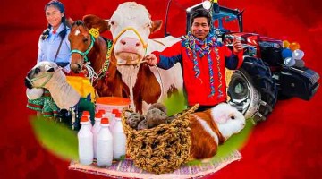 Challhuahuacho: 29 septiembre lanzamiento ProCompite 2025 