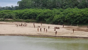 Madre de Dios: Corte IDH escuchará a los representantes de comunidades indígenas en caso contra el Estado peruano