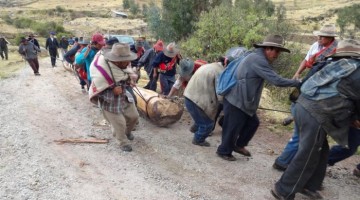 Declaran Patrimonio Cultural de la Nación la faena festiva de tala y traslado de troncos “Kurku Haily