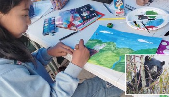 Escolares pintan a oso andino para proteger especie en peligro de extinción, en Aymaraes