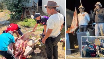 ¿De dónde tanta plata?: matan toro para inauguración de local de campaña de Ahora Nación, en Bacas