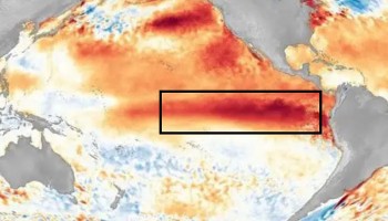NOAA: El Niño se fortalece y eleva a 97 % probabilidad que se extienda hasta marzo de 2027