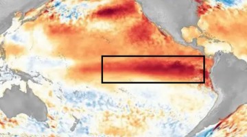 NOAA: El Niño se fortalece y eleva a 97 % probabilidad que se extienda hasta marzo de 2027
