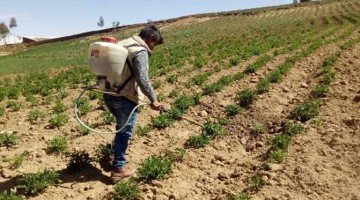 El Niño: 3.7 millones expuestos a riesgo muy alto por déficit hídrico