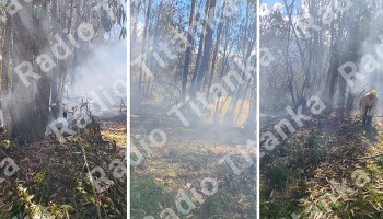 Profesora de inicial pierde la vida cuando apagaba incendio forestal en Ayaorcco