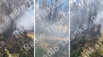 Profesora de inicial pierde la vida cuando apagaba incendio forestal en Ayaorcco