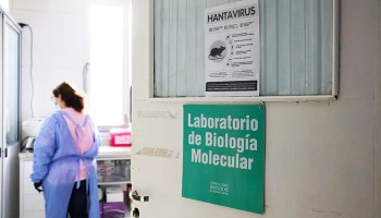 Argentina está en una carrera por hallar el origen del brote de hantavirus
