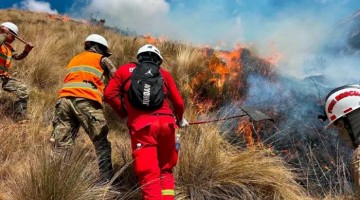 Ayacucho: COER registra 18 incendios forestales y 322 hectáreas de vegetación afectadas