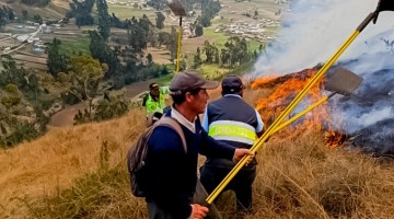 Caída de un árbol sobre cables de alta tensión originó gigantesco incendio forestal en Argama