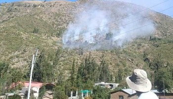 Pobladores logran controlar incendio forestal en Micaela Bastidas