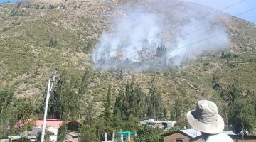Pobladores logran controlar incendio forestal en Micaela Bastidas
