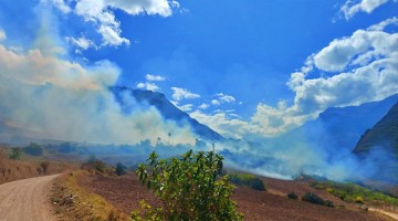 Dos incendios forestales arrasan con cobertura vegetal en Huanipaca y Curahuasi