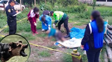 Jauría de perros ataca y mata anciano en Cansichihua