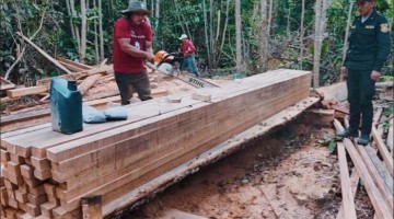 Madre de Dios: incautan 800 pies tablares de la especie Castaña en ruta a Mazuko - Inambari