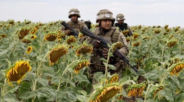 Sicarios latinoamericanos hacen pasantías en el Ejército ucraniano