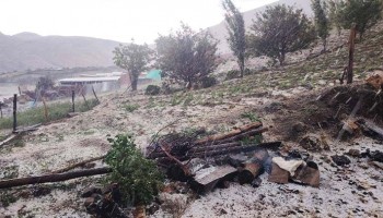 Intensa granizada afecta varias hectáreas de cultivos en Tambobamba