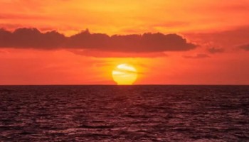 Los océanos del planeta alcanzan la temperatura media más alta jamás registrada mientras El Niño se intensifica