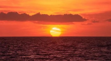 Los océanos del planeta alcanzan la temperatura media más alta jamás registrada mientras El Niño se intensifica