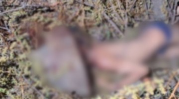 Atroz crimen de escolar conmociona a población de Andahuaylas