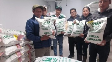 Más de 6 toneladas de semillas de quinua y maíz amiláceo de calidad para mejorar producción agraria de Apurímac