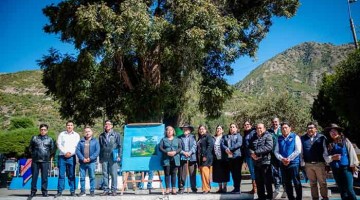 Árbol con más de 400 años ubicado en Chalhuanca es reconocido como patrimonio por SERFOR 