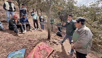 72 productores formalizan más de 106 hectáreas de plantaciones de tara 