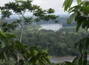 Más reservas, cuencas y zonas protegidas afectadas por la minería ilegal