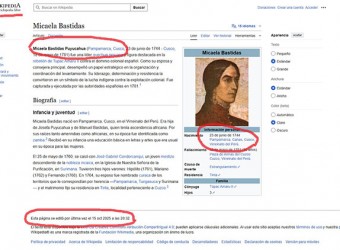Portal Wikipedia desinforma y afirma que Micaela Bastidas Puyucahua nació en el Cusco 