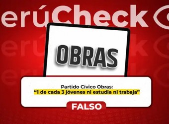Es falso que uno de cada tres jóvenes no estudien ni trabajen, como indica el plan de gobierno del Partido Cívico Obras. FALSO