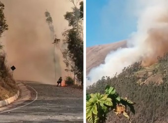 Incendio forestal arrasta con bosques de eucaliptos y cobertura vegetal en San Pedro de Cachora