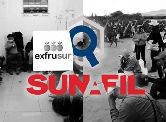 Ica: Sunafil multa con S/127 mil a Frutícola del Sur por intoxicación de trabajadores en fundo