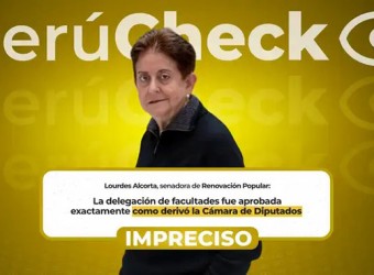 El Senado no aprobó la delegación de facultades exactamente como la derivó la Cámara de Diputados