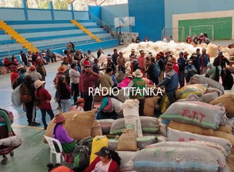 SPAR Totora Oropesa comercializó más de 66 mil kilos de fibra de alpaca en éxitoso acopio 