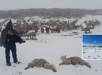 Intensas nevadas y lluvias persistentes se registran por fenómeno de la DANA Anibal en Apurímac