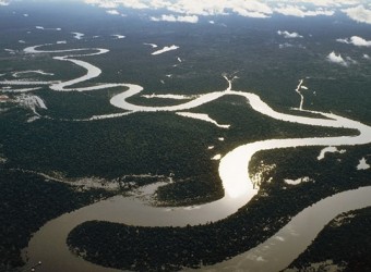 ¿Qué pasará si se seca la selva amazónica?