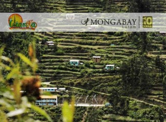 Andenes de Cuyocuyo: tecnología ancestral para conservar la biodiversidad en el altiplano peruano